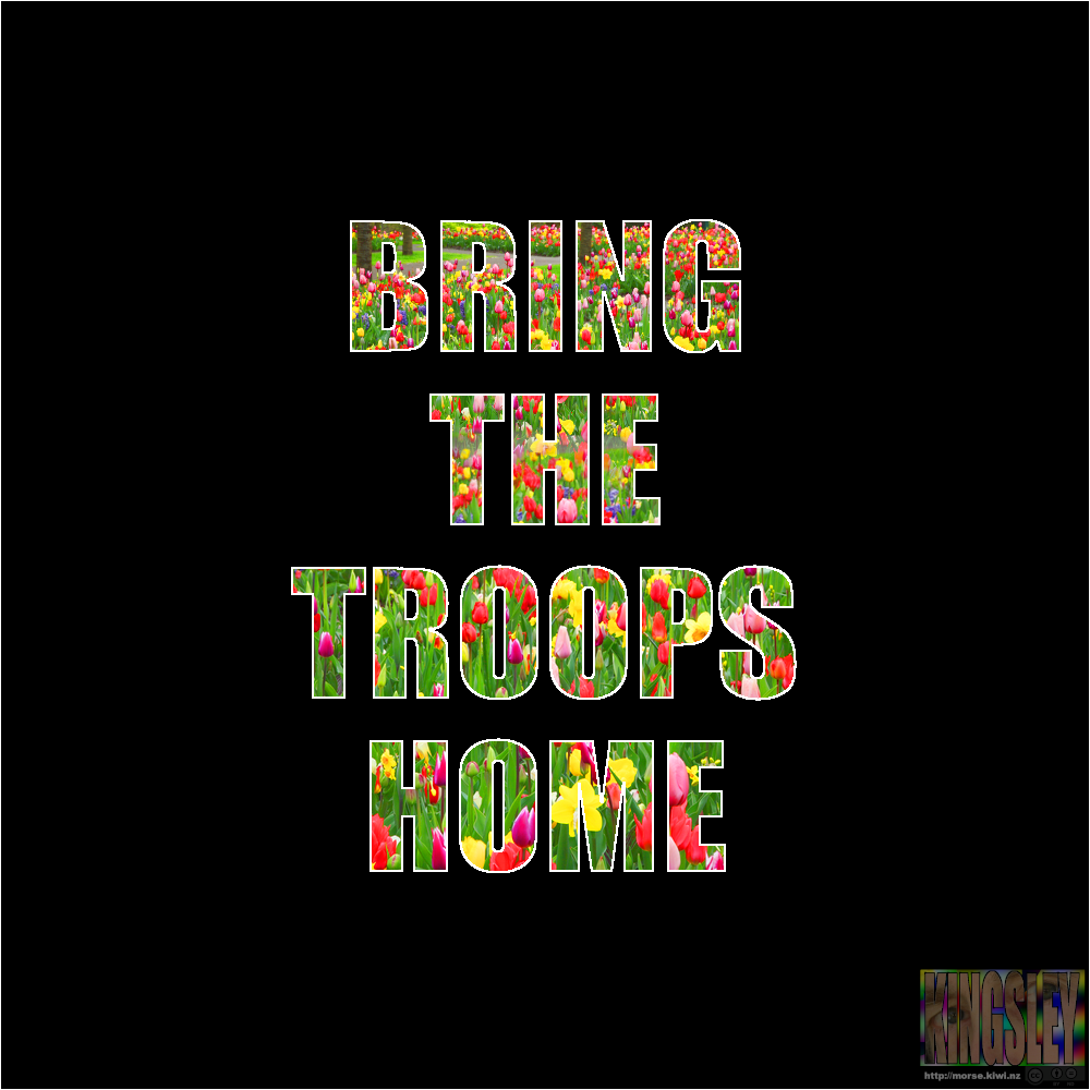 bring the troops home